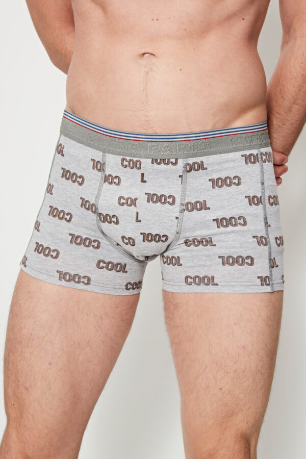 LOT 2 Boxers motifs – Image 3