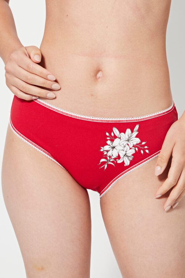 Lot de 2 culottes coton différents coloris